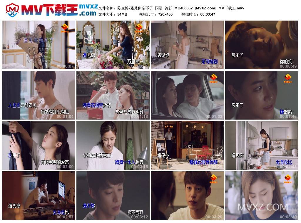 陈亚博-遇见你忘不了_国语_流行_MB408562